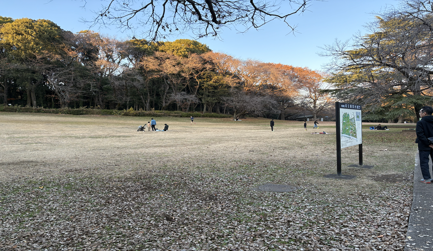 軽く家族でのキャッチボール