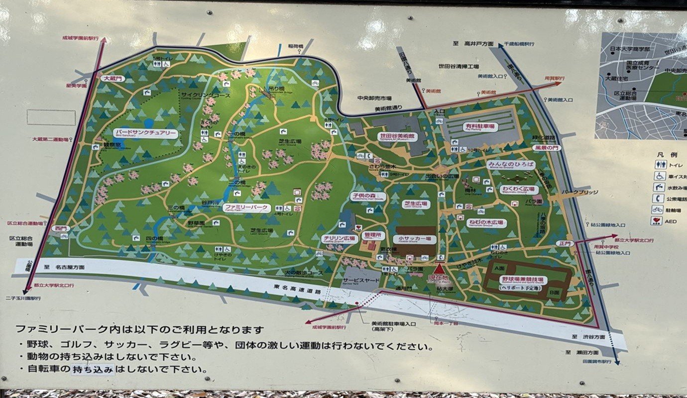 砧公園の見取り図の写真